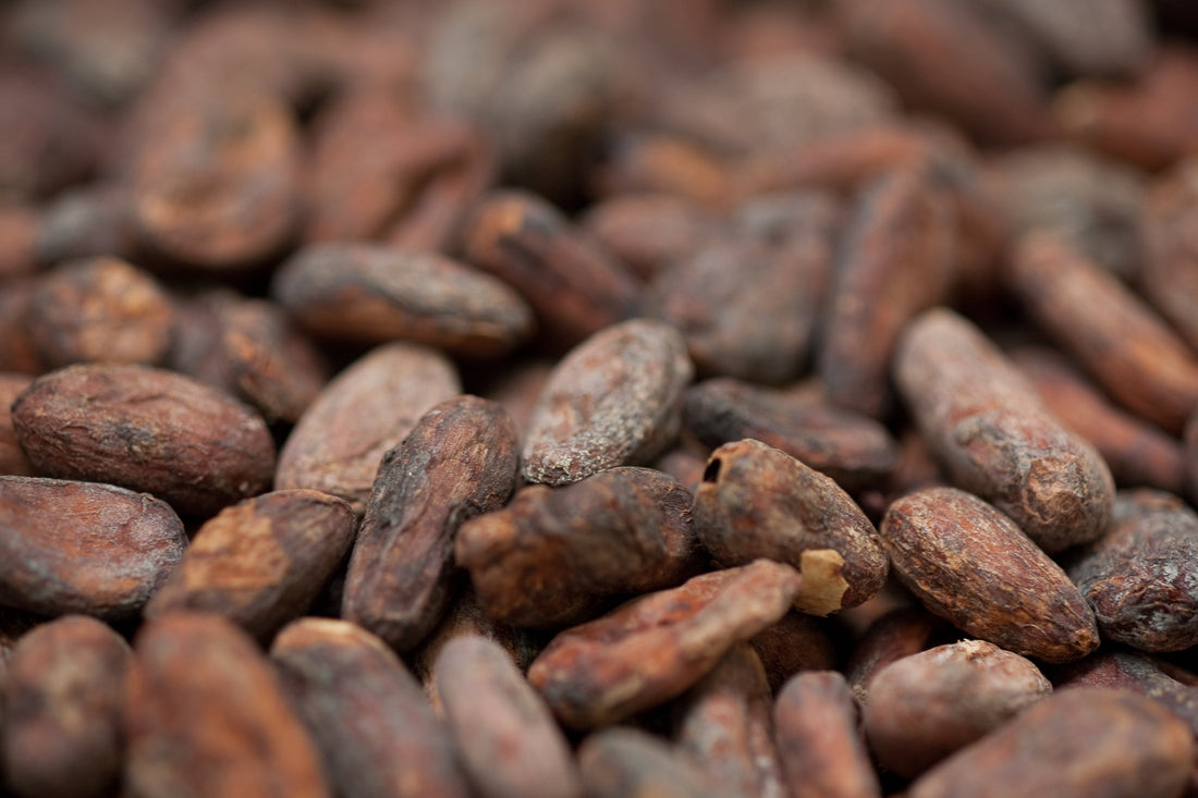 cocoa beans