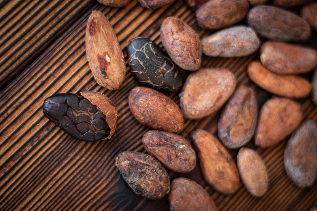 roasted cocoa beans