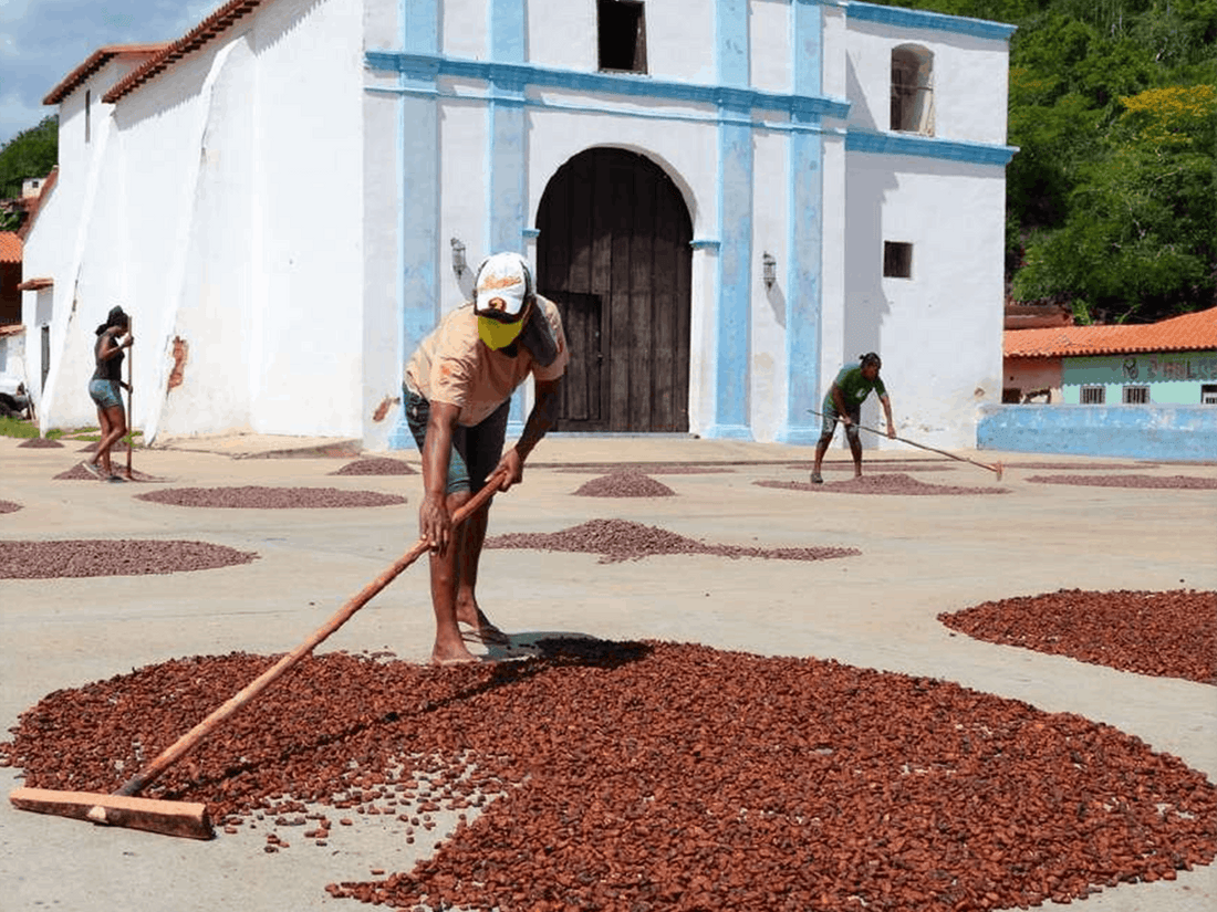 Chuao: Venezuela’s Legendary Cocoa Village