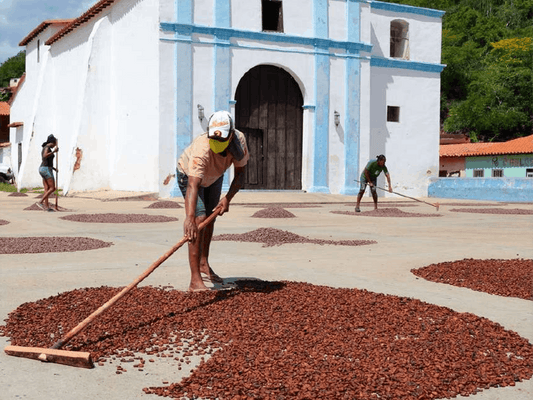 Chuao: Venezuela’s Legendary Cocoa Village