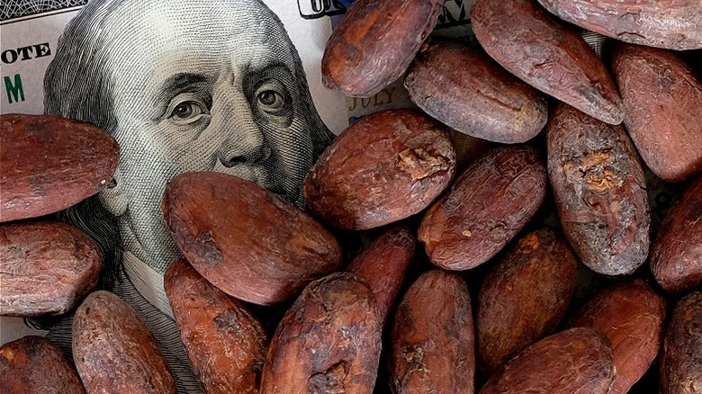 Ec In Coco Not Rising Why Cocoa Prices Are Rising – And How We’re Responding – FRESCO CHOCOLATE