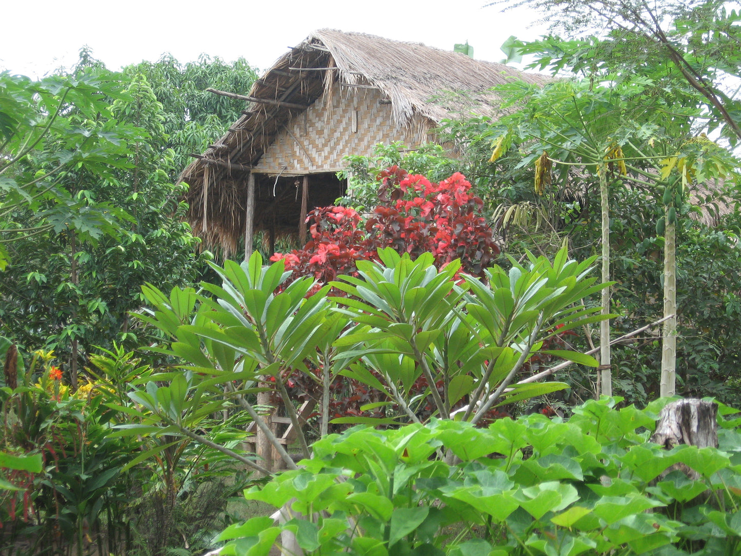 Papua New Guinea 2014 RESERVE